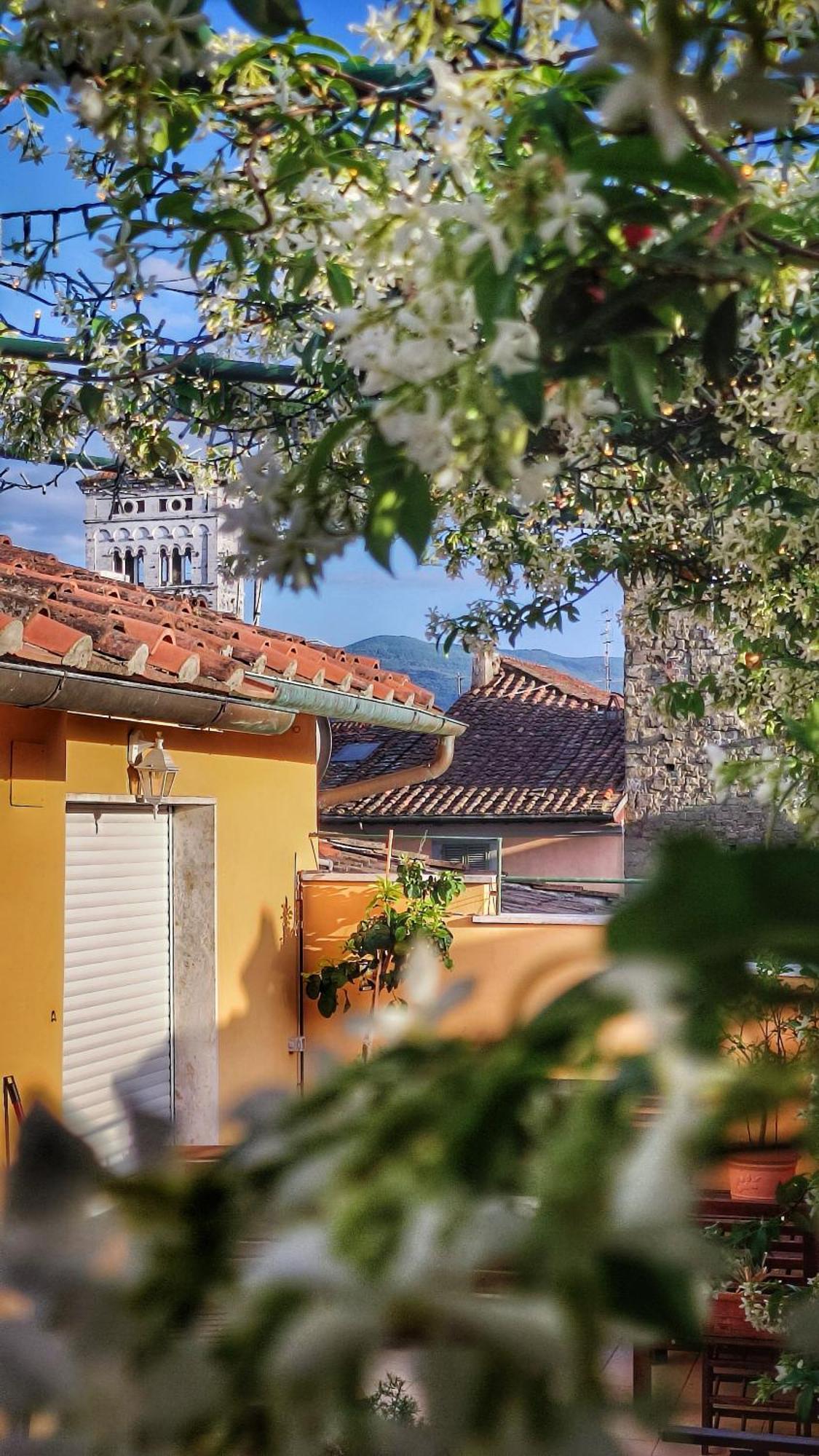 Villa De Maestri - With Elevator Since September 2025 Lucca Exterior foto